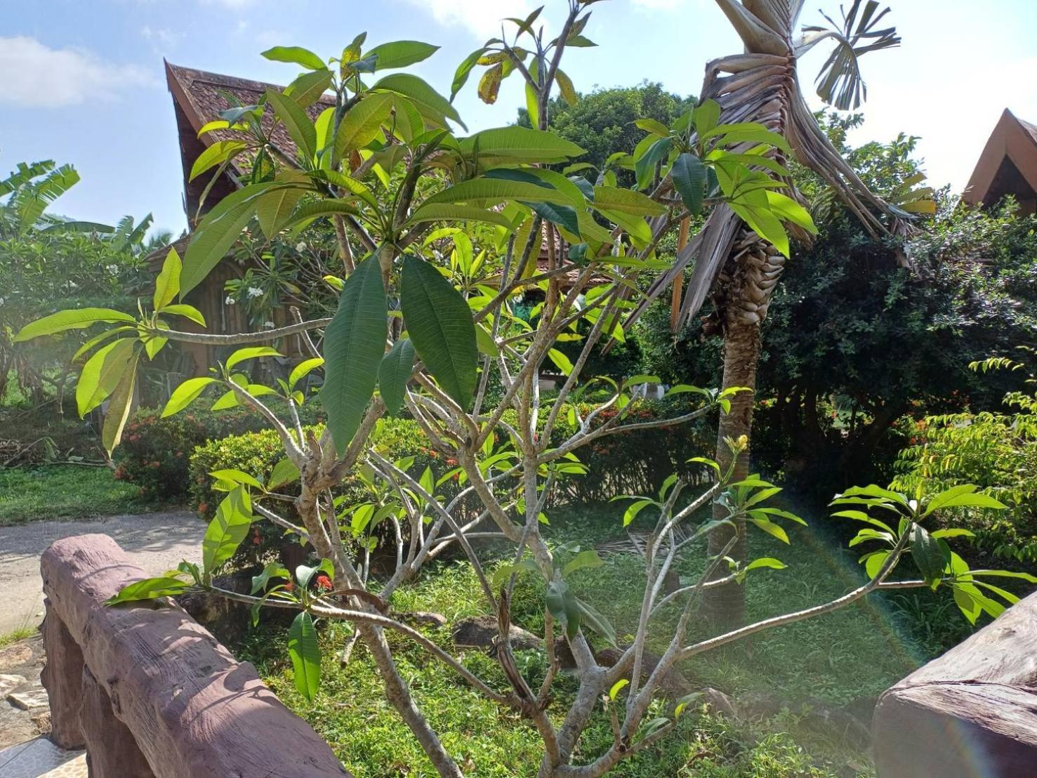 Orchid Home Ko Tao Exterior foto